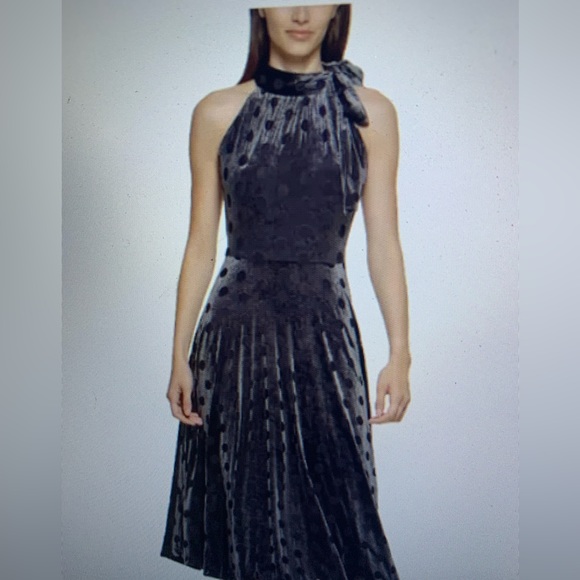 Calvin Kline Velvet Polka Dot Dress - Picture 10 of 12